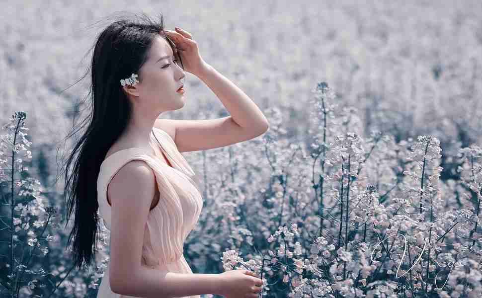 >2025年最新资料免费大全和2025新澳特今天是什么最新版