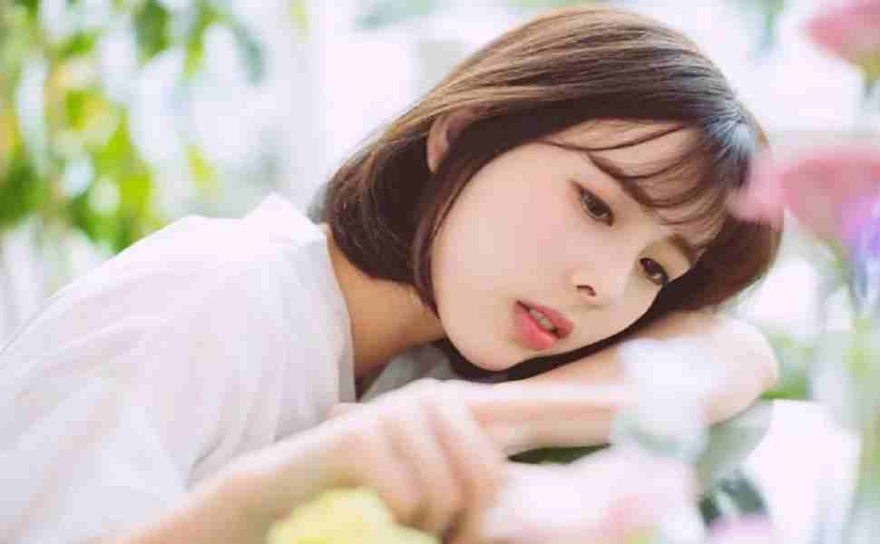 >2025年全年免费公开资料和4887铁算资料免费大全电脑最新版