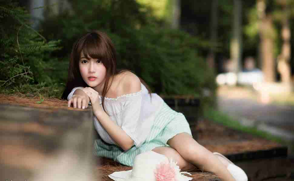 >2025年全年免费公开资料和4887铁算资料免费大全最新版