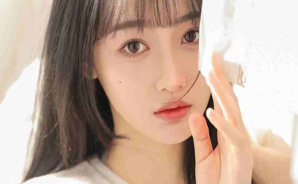 >2025年全年免费公开资料和4887铁算资料免费大全电脑最新版